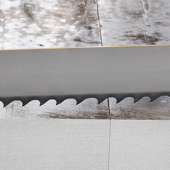 SKALAR® PREMIUM M42